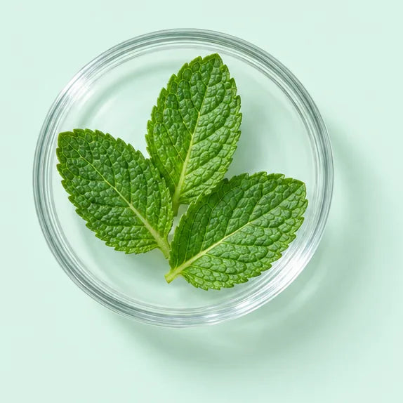 Des feuilles de menthe poivrée